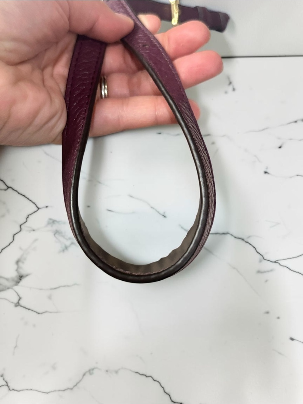 Michael Kors Brown and Plum Signature Crossbody - Picture 7 of 12